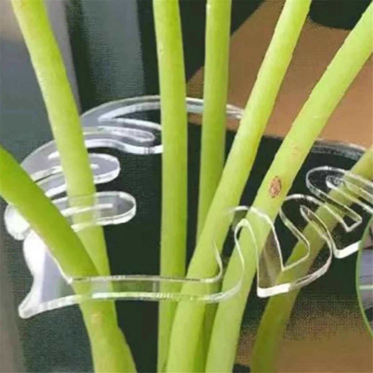 Support en plastique pour tige de plante, porte-tige de fleur, support de retenue de plante réutilisable, A, 1 pièce