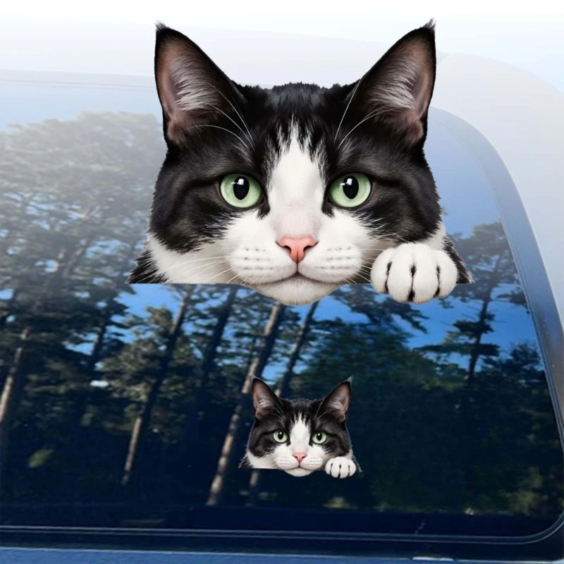 

Забавная виниловая наклейка с котом, наблюдающим за вами, водонепроницаемая самоклеящаяся наклейка для окна автомобиля, топливного бака, шлема, скейтборда, универсальный декор