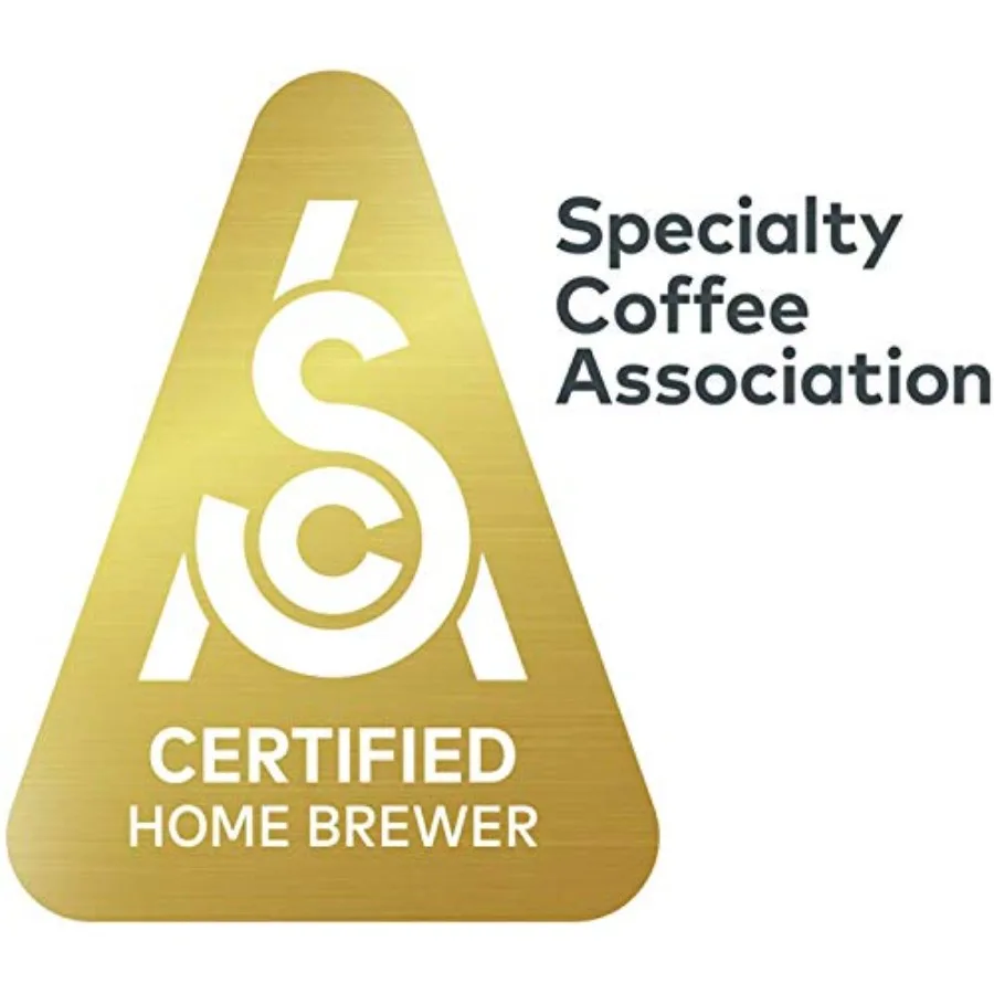 Cafetera de grado profesional para uso doméstico y de oficina Capacidad de 40 oz con control de temperatura de precisión y preparación ajustable S