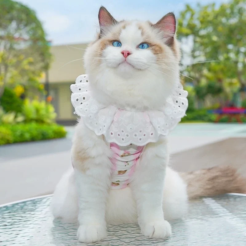 Camiseta de verano para perros y gatos - Sin mangas y cuello de encaje - imagen 4
