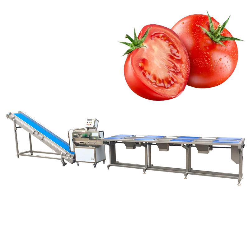 FOODLINE Fully Automatic Prefabricated Vegetable Production Line Washing Blanching Filling Machine For Ready To Eat Meal Factory