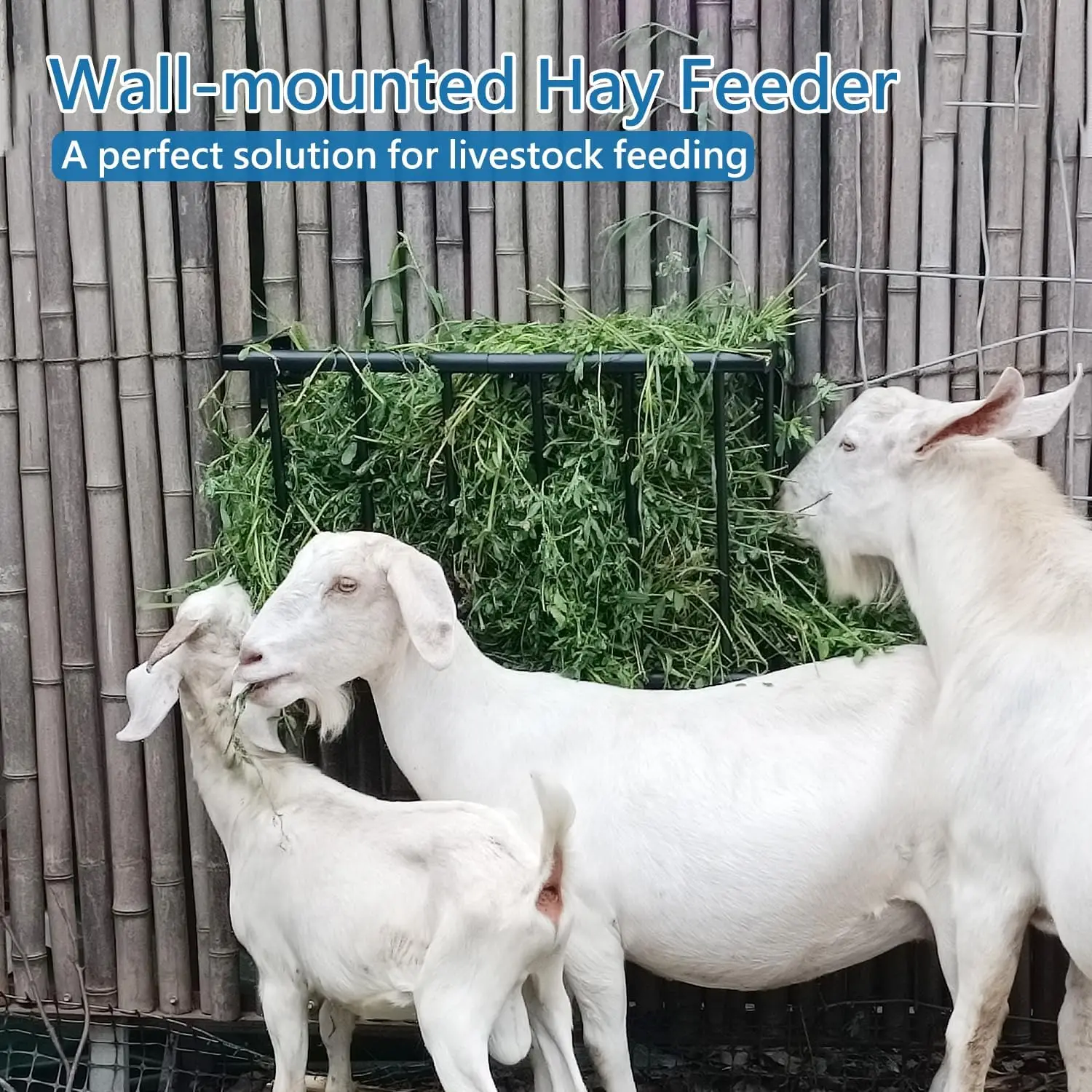 Outdoor Wall Mount Hay Rack Heavy Duty Carbon Steel Feeder for Sheep, Goats, Horses