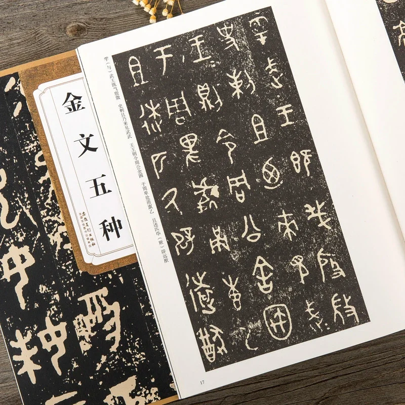 Xi Zhou Chinese Bronze Inscription Copybook Chinese Jin Wen Five Type Calligraphy Copying Book Original Inscription Rubbings