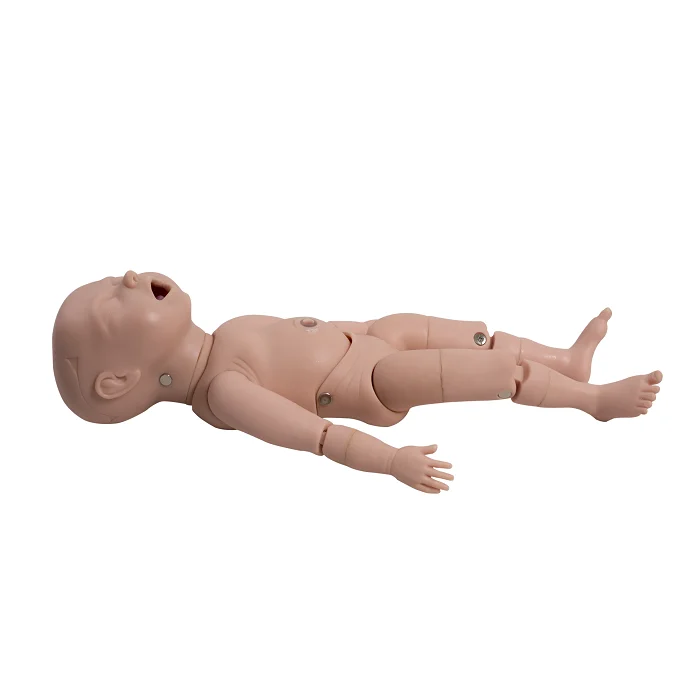 

Advanced Newborn Baby Doll Fetus Model