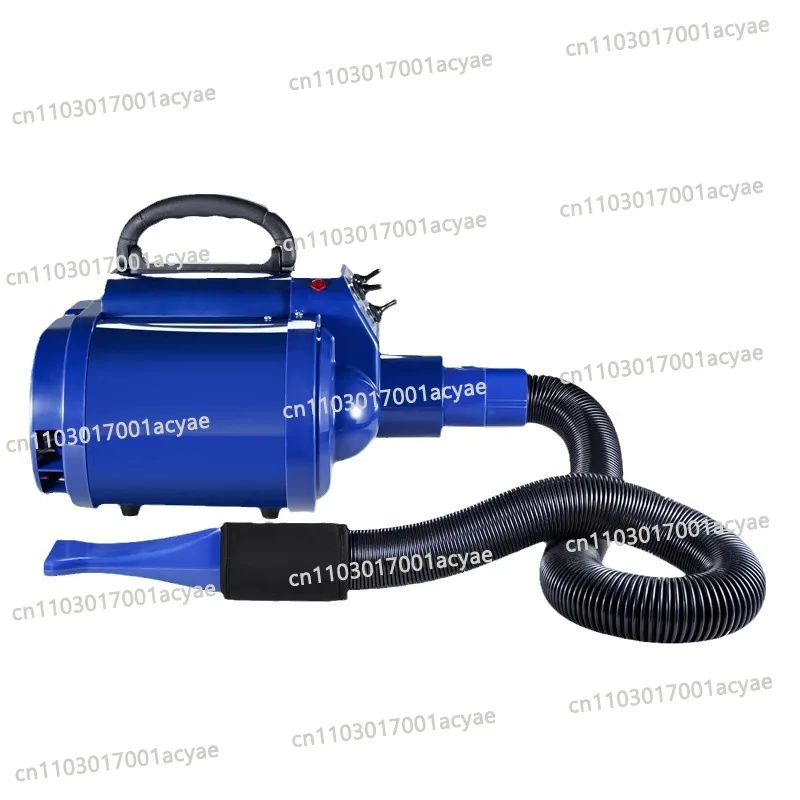 Large dog, high-power ozone sterilization heating silent hair blowing machine, double motor pet water blowing machine 3000w