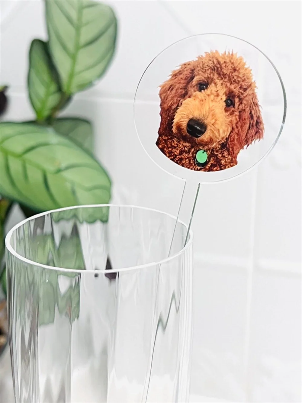 Custom Pet Drink Stirrers - Pet Drink Stirrers - Personalized Swizzle Sticks - Personalised Drink Stirrers - Pet Stirrers - Roun