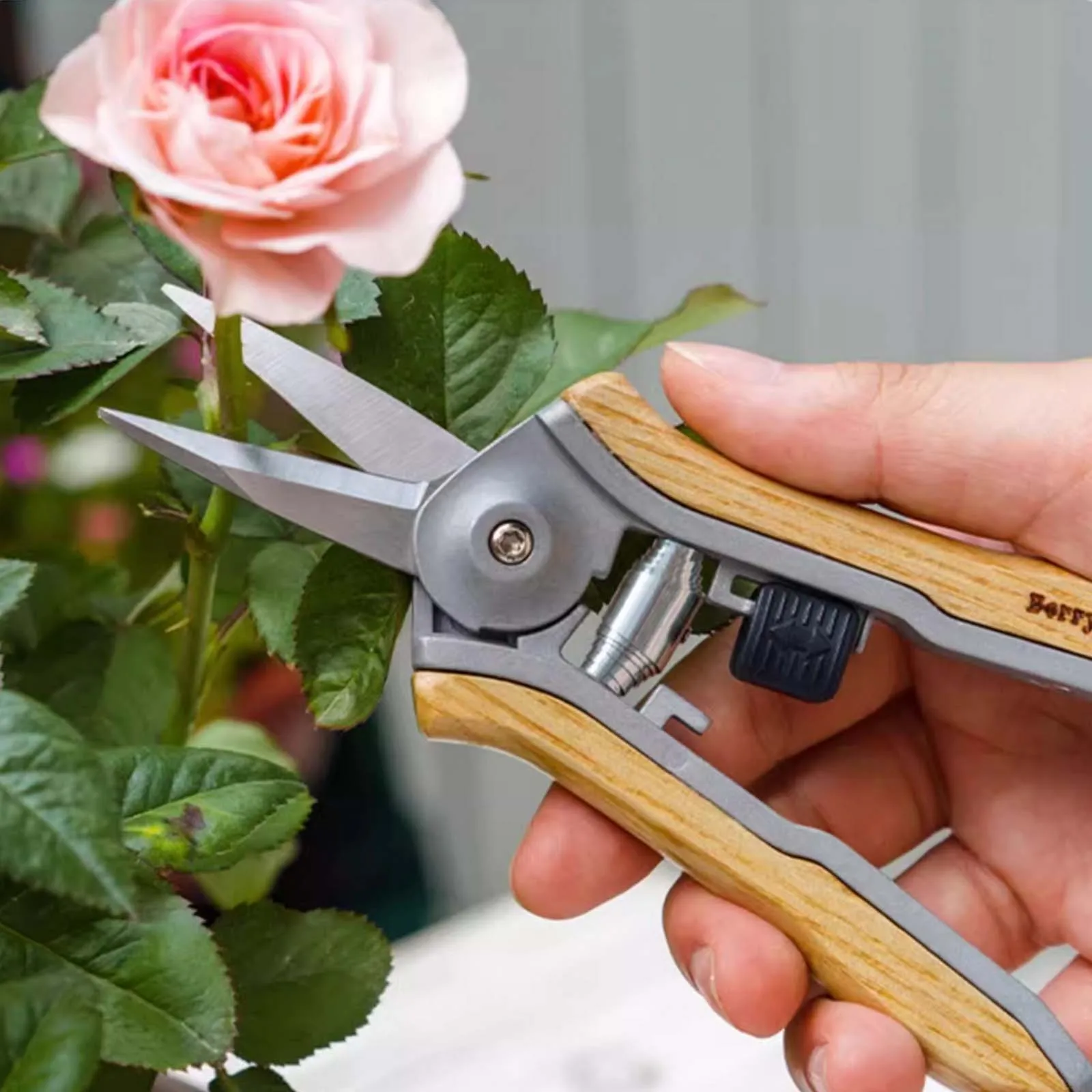 مقص قطع فرع زهرة الغابات والبستنة، مقصات تقليم منزلية بوعاء