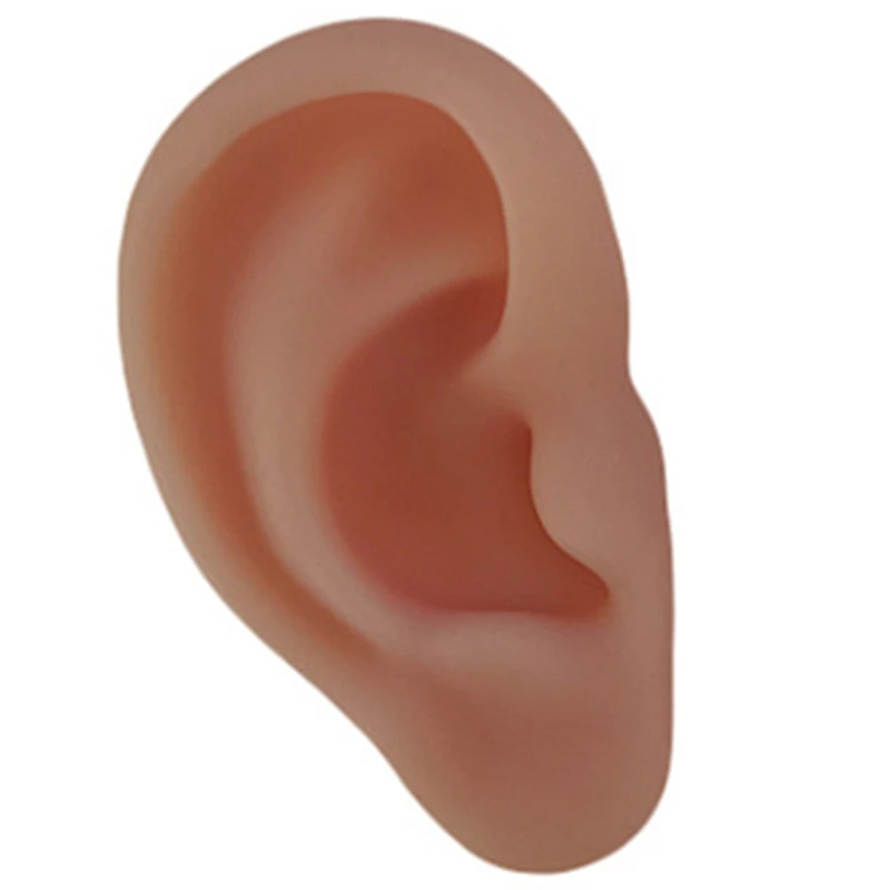 인체 해부학 실리콘 귀 침술 연습 키트, 봉합 훈련, 교육 도구용