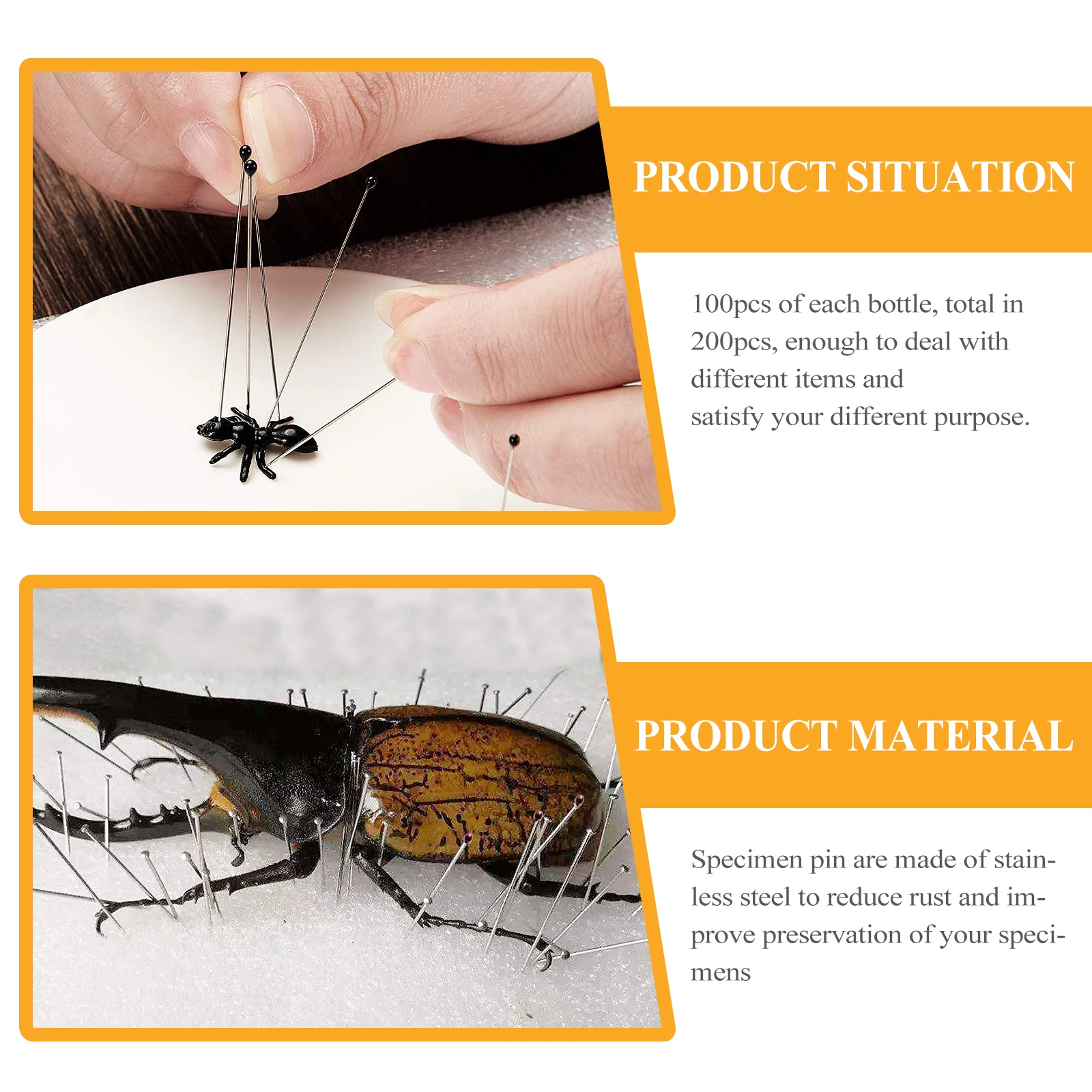 

200 Pcs Specimen Needle Making Entomology Collection Insect Needles Metal Stainless Steel Pin