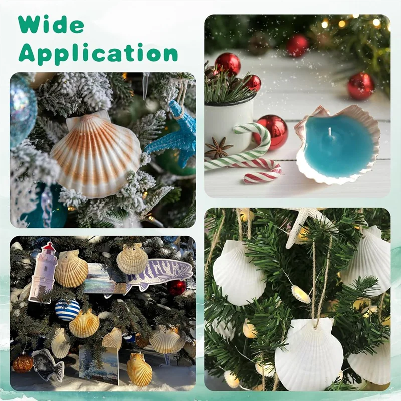 ABVJ-2"-3" Natural Scallop Shells 25 Pieces From Seaside For DIY Craft Painting Ocean Theme Party Wedding Home Decoration