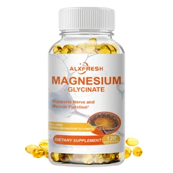 Magnesium Supplementation Promotes Nerves Function Muscles Recovery Heart Health Mood Improve Sleep Quality Cardiovascular