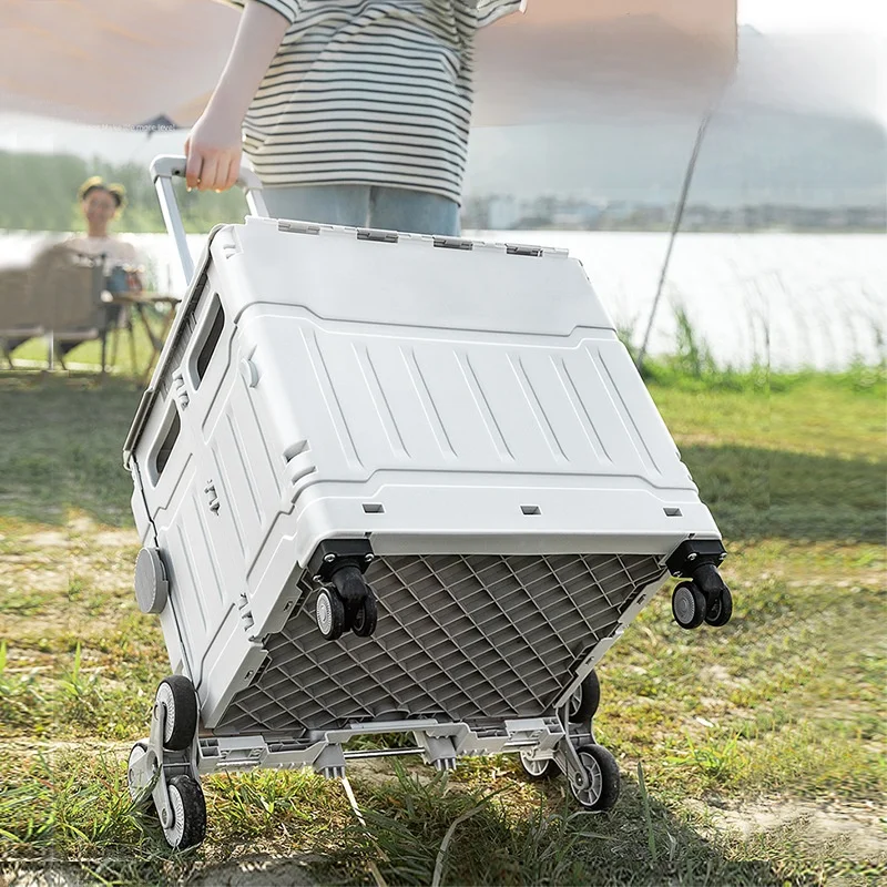new-portable-hand-pulled-shopping-cart-vegetable-buying-car-stair-climbing-foldable-storage-organizer-by-danpiny-pp-material