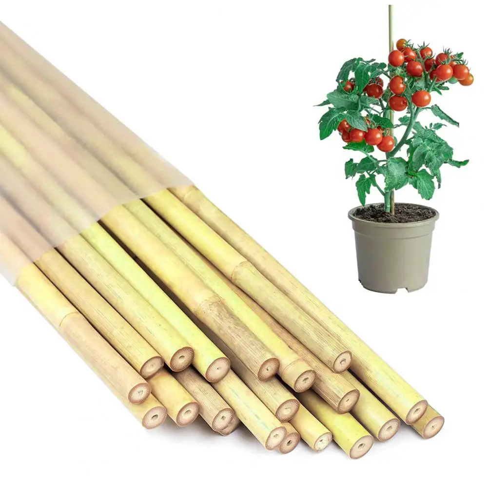 20 Pcs Bamboo Plant Support Stakes Reusable Garden Stakes Natural Support Poles For Orchid Tomato Vegetables Climbing Plants