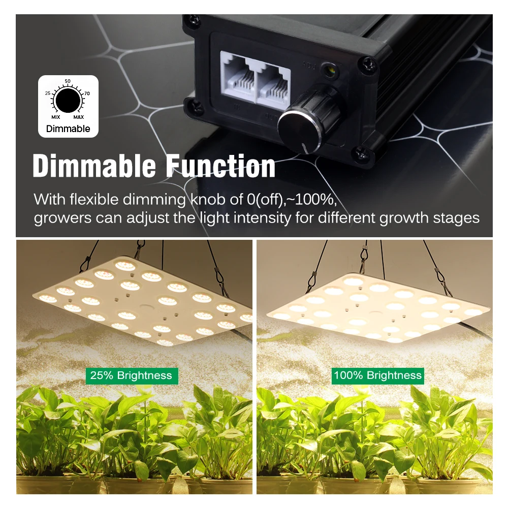 100 واط 200 واط الكم تنمو أضواء LED النمو مصباح الطيف الكامل Phytolamp للداخلية الخضار زهرة الدفيئة النباتات العصارية #4