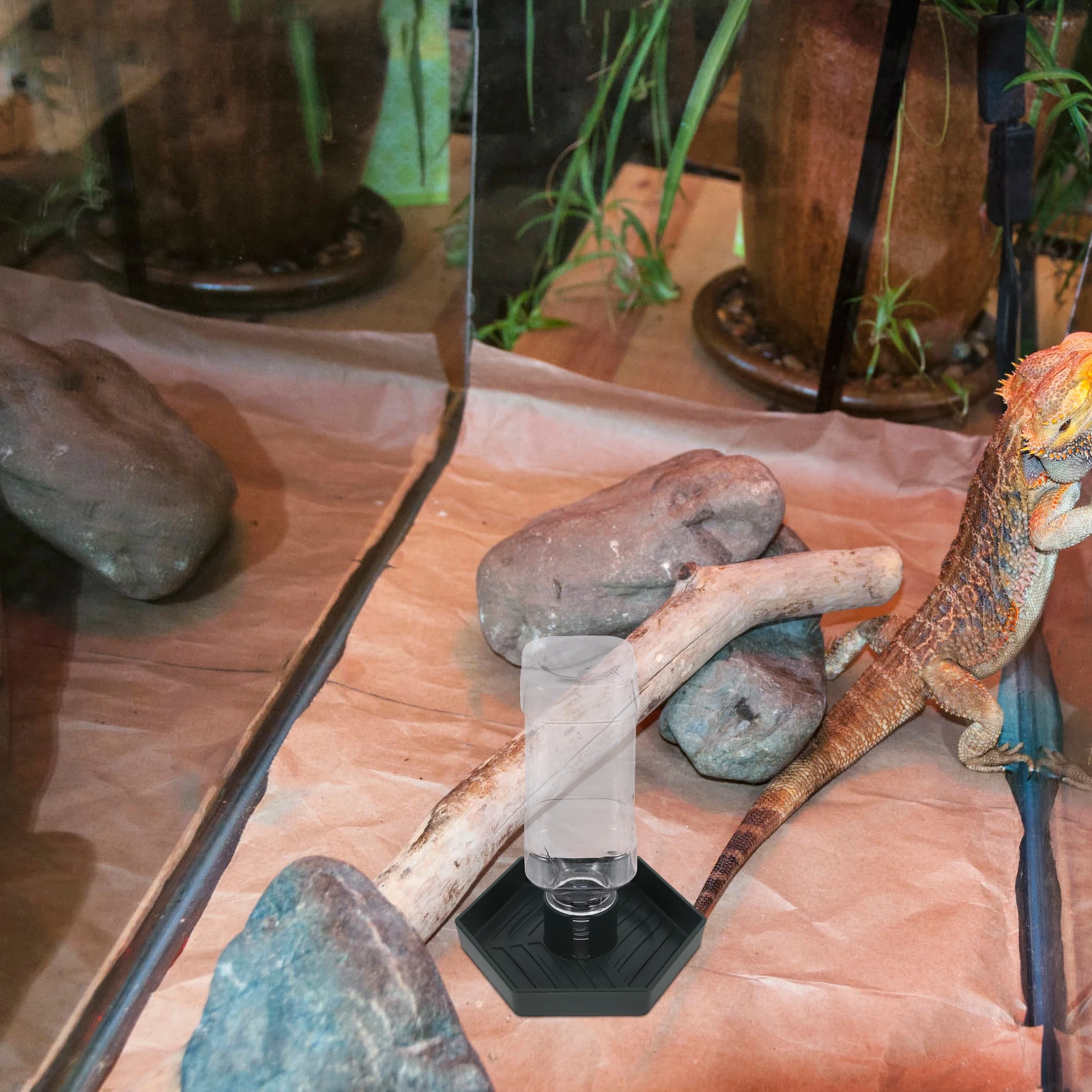 

Automatic Reptile Water Feeder Durable ABS Household Tortoise Supplies Easy Care Standing Dish Compact Pets Daily Use