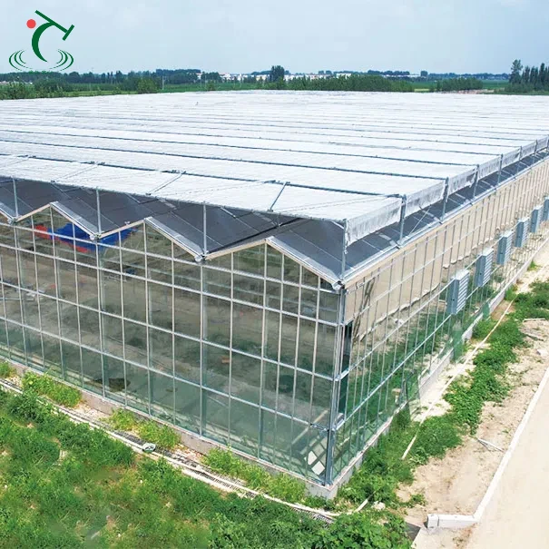 

Customized greenhouseMulti-Span Galvanized Steel Greenhouse Venlo Type Tempered Glass Cover and Walls Agriculture Greenhouse fo