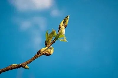 

Рулевой рычаг из углеродного волокна IF729 TO-314-MP11 для радиоуправляемой машины Kyosho MP11, запчасти для тюнинга и аксессуары