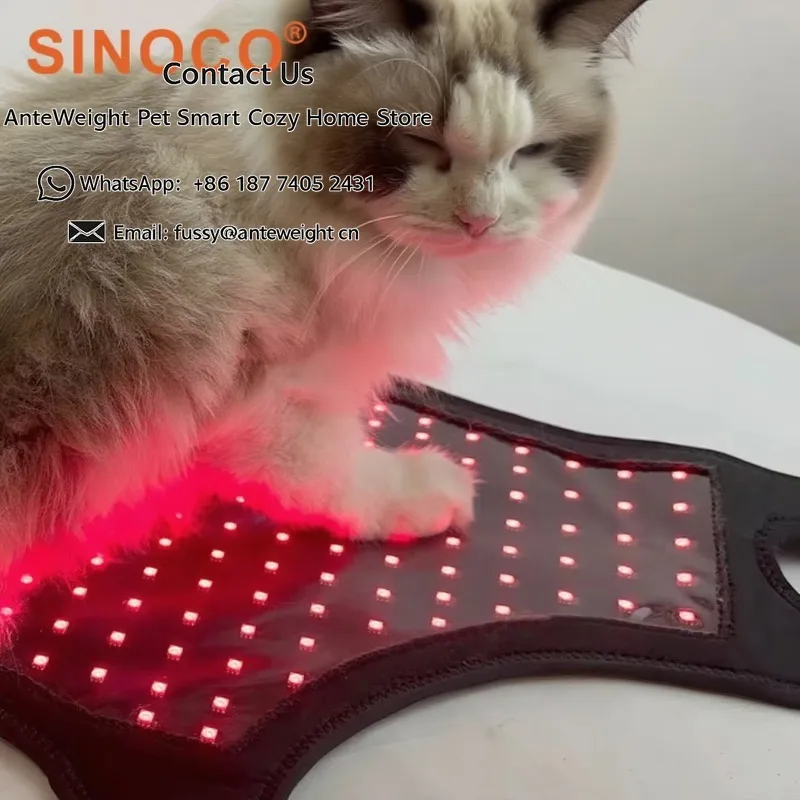 

660nm 850nm LED Red Light Infrared Pet Therapy Belly Body Pad Equine Pain Relief Red Light Therapy Belt
