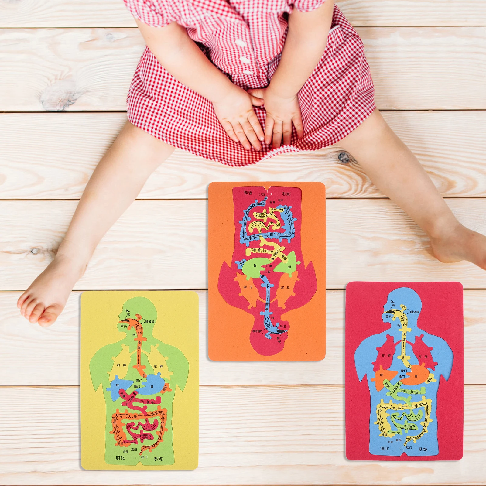

3pcs Human Puzzle Premium EVA Material Educational Toy Science Gift Kids DIY Assembly Intellectual Puzzle Body