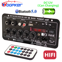 Woopker Power Amplification Board D10C 30W-120W Dual Microphone BT 5.0 Subwoofer Rechargeable Battery Amplifier Module Karaoke