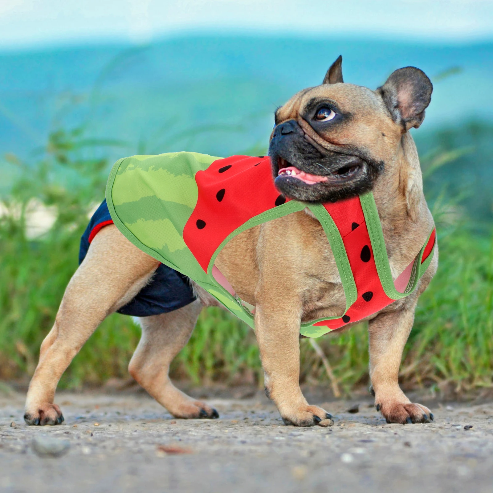 

Cooling Suit Pet Watermelon Clothes Dog Medium Sized for Small Dogs Vest Summer