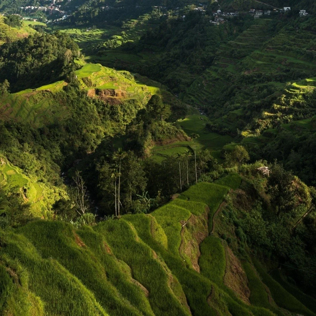 

Для Porsche Cayenne 2018 ~ 2024 автомобильный Copilot Android экран авто головное устройство монитор Carplay пассажирское сиденье развлечения новое обновление