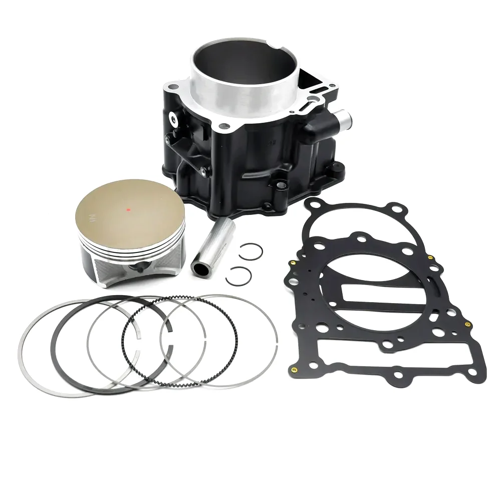 Motor Parts Cylinder Overhaul Rebuild Top End Kit For BMW F650CS G650GS G650X F650 F650GS 1111700201