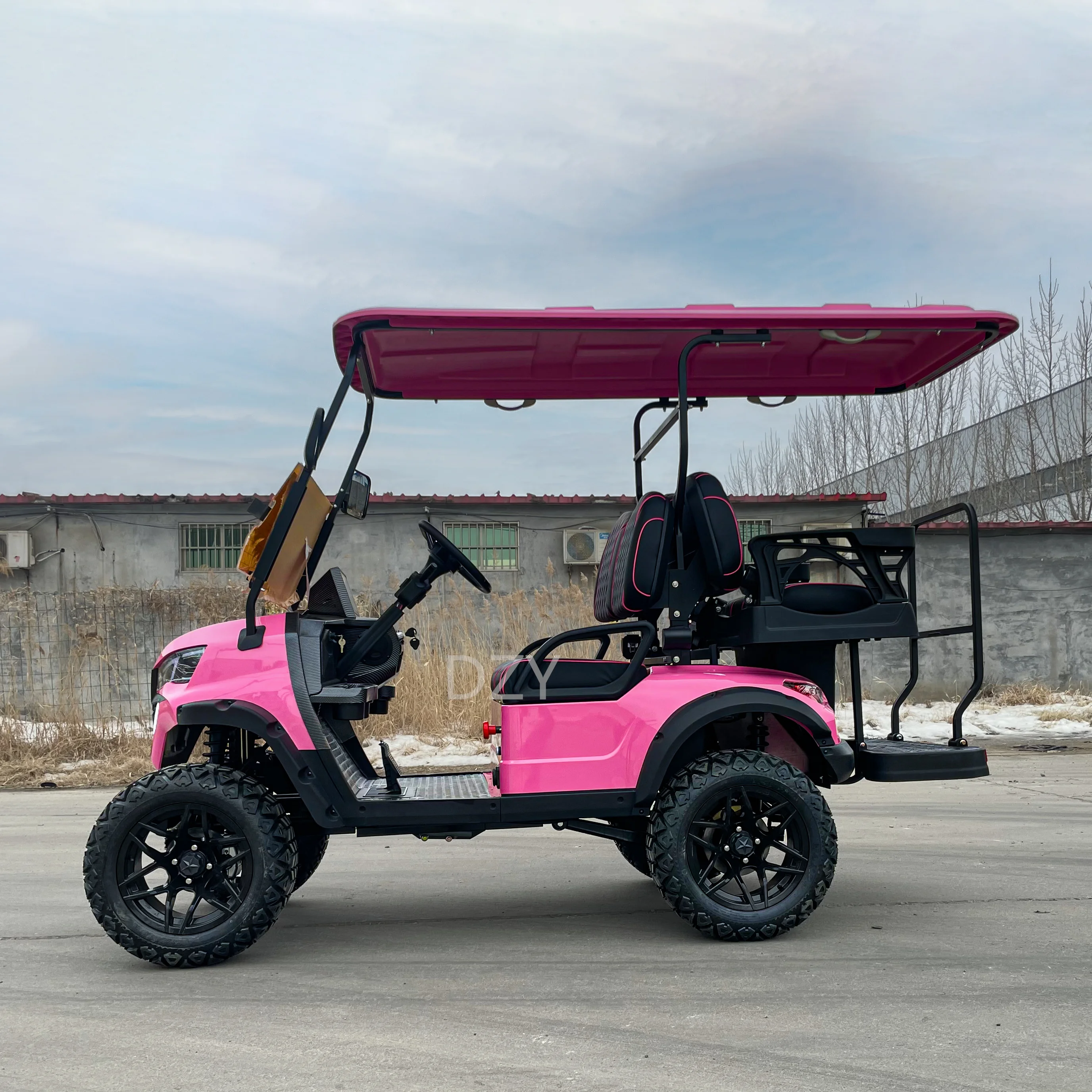 Carrito de Golf eléctrico para adultos, vehículo todoterreno, vehículo de energía, nuevo