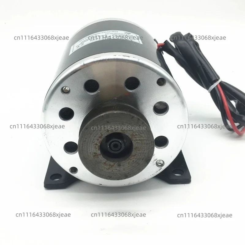 500W1000W48V36V24V Permanent Magnet DC Brushed High Speed Pulley Drive Motor MY1020