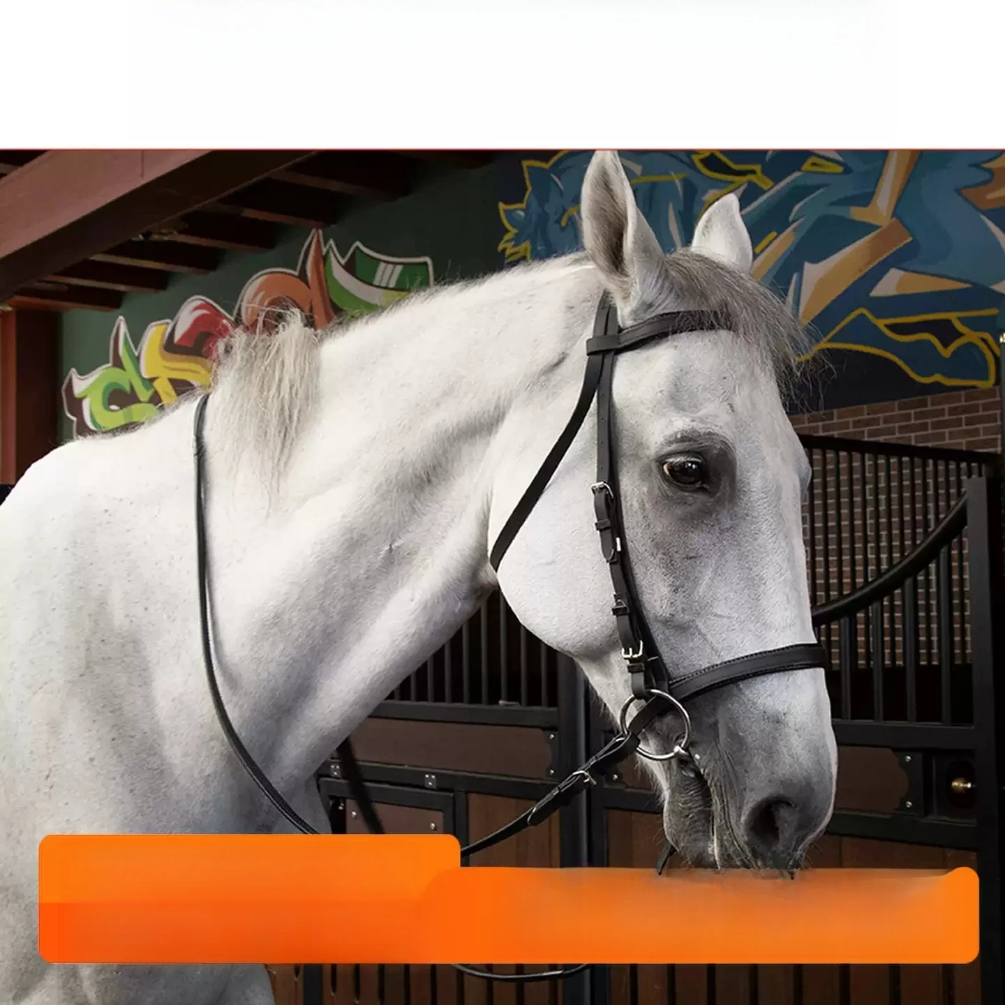 British Cowhide Water Reins Anti-Skid Reins Set Saddle Pommel Bridle Water Leather Equestrian Accessories