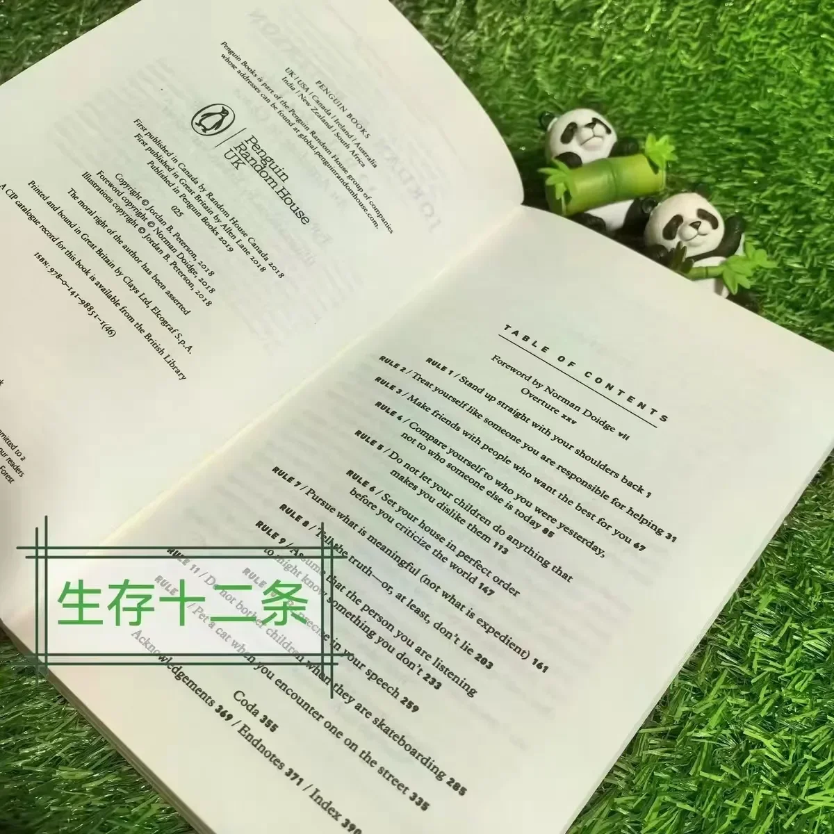 Twelve Rules: 12 Rules for Life: An Antidote To Chaos - Jordan Peterson's Guide To Philosophical Thinking and Practice