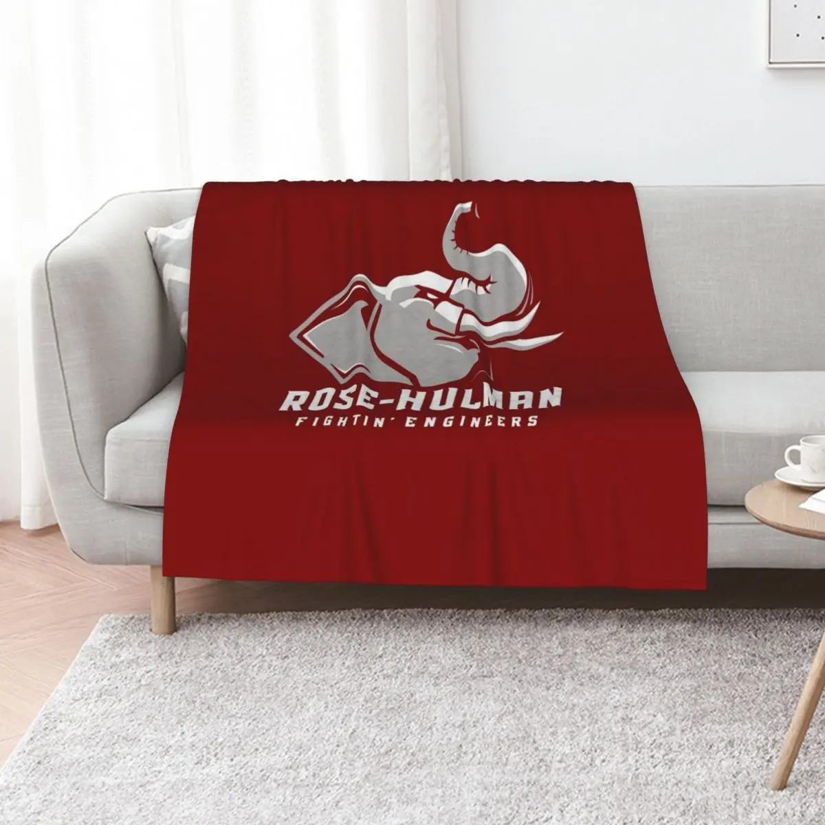 The Rose Hulman Fightin' Engineers Throw Blanket Tourist Winter beds Sofa funny gift Stuffeds anime Blankets