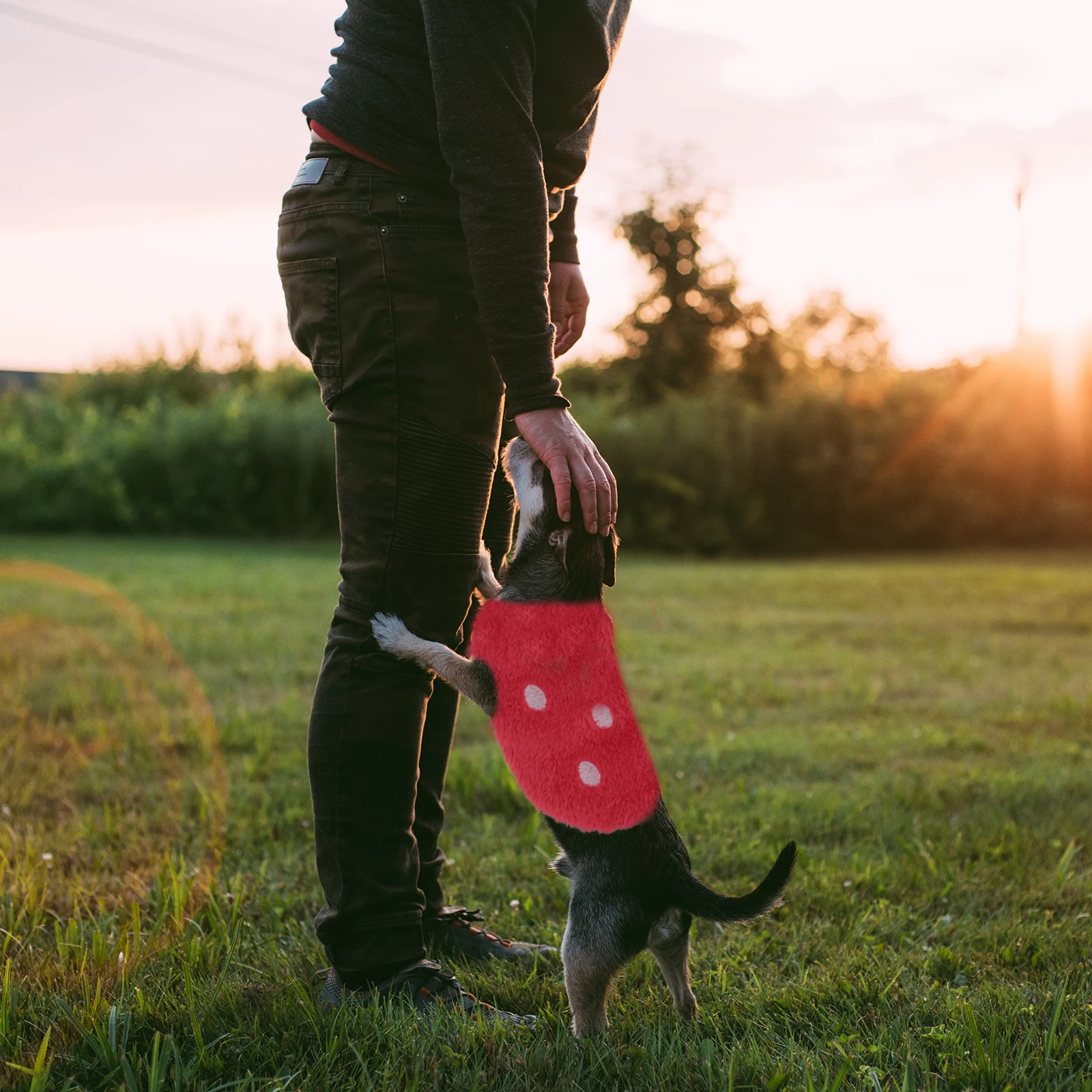 

Exquisite Workmanship Small Pet Hoodie for Bunny Guinea Pig Rabbit Chinchilla Rat Squirrel Ferret Winter Fleece Apparel