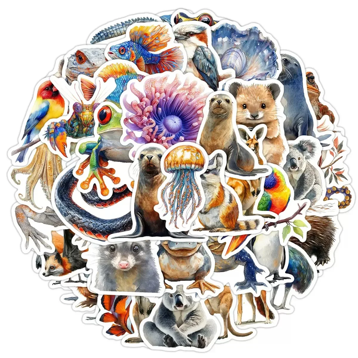 

10/50Pcs Cute Cartoon Australian Animals Stickers Koala Bear Kangaroo Wild Animal Sticker For Luggage Guitar Skateboard Diary