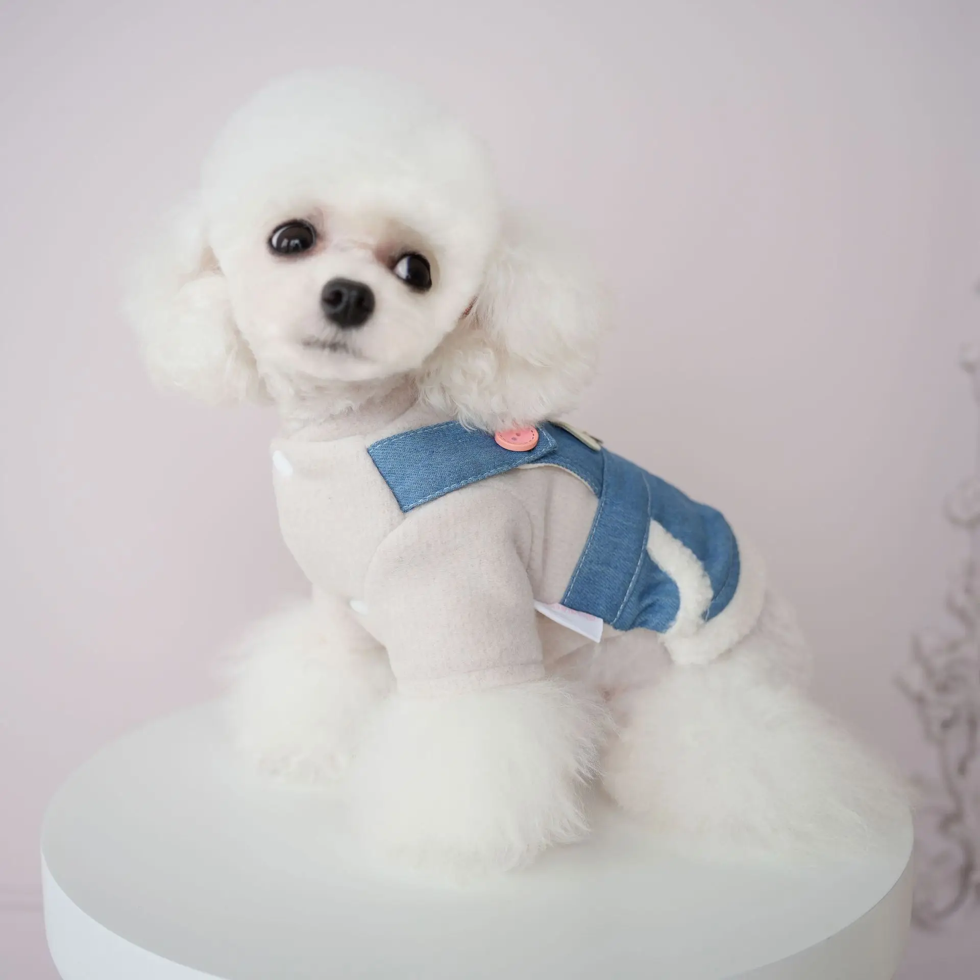 Pet New Winter Frosted Denim Suit Dog Quadruped Overalls Warm and Thick Pet Clothing Designer Dog Clothes