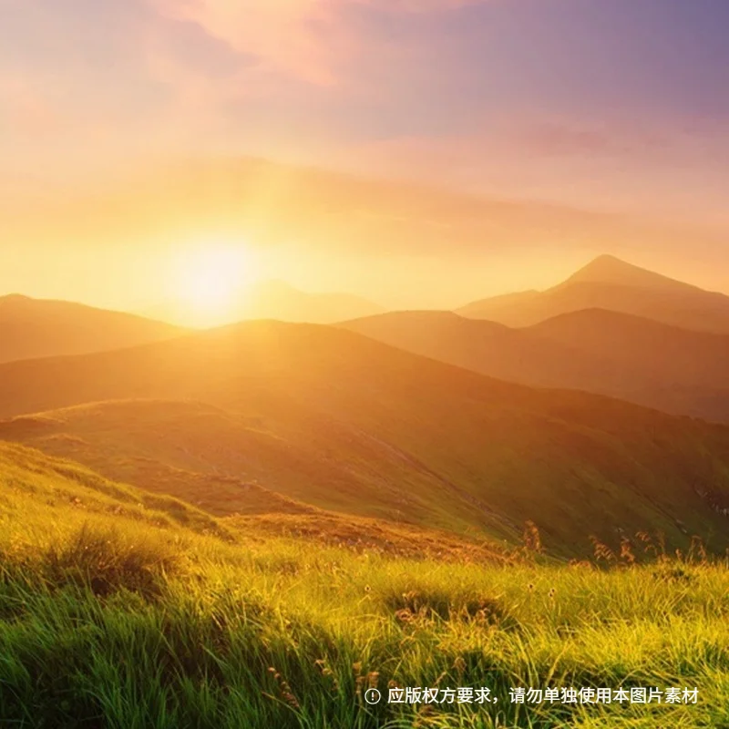 

Portable Emtt Physio Magneto Therapy Magnetoterapia Pain Relief PEMF Sports Injury Therapy Magnetotherapy Physiotherapy Machine