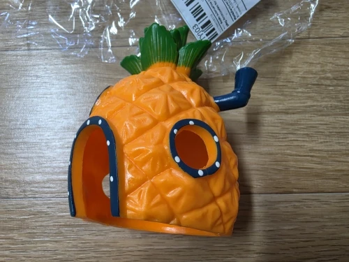실물 포토 리뷰