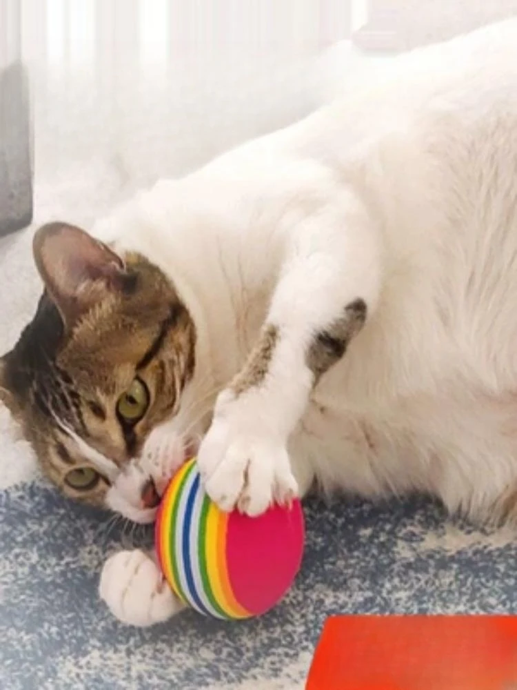 Cat Toy Rainbow Ball Micro Elastic Solid Mute Grinding Teeth Cleaning Teeth Interactive Pet Toy For Cats