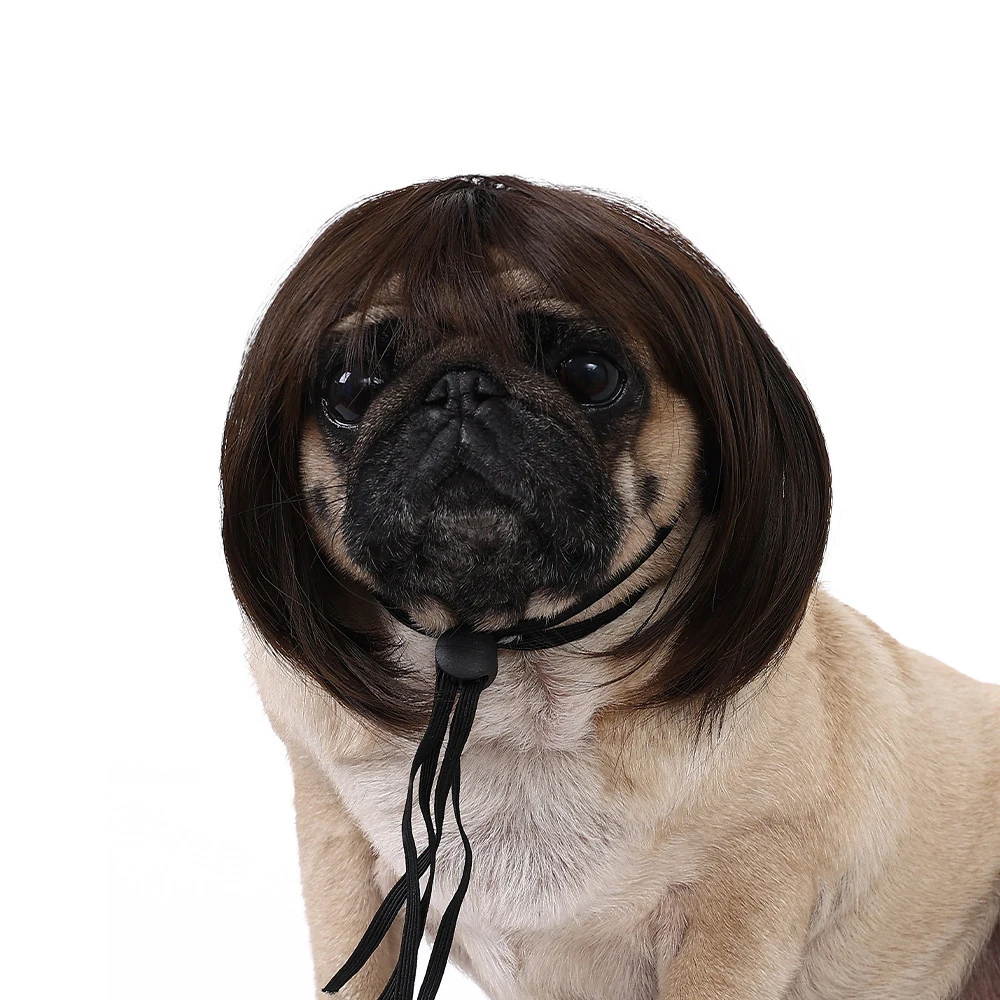 Pet Wig Cosplay Costume Props, Funny Cross-Dressing Hair Head Accessories for Dogs & Cats, Prank Supplies for DIY Party