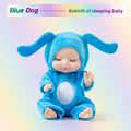 blue dog opp