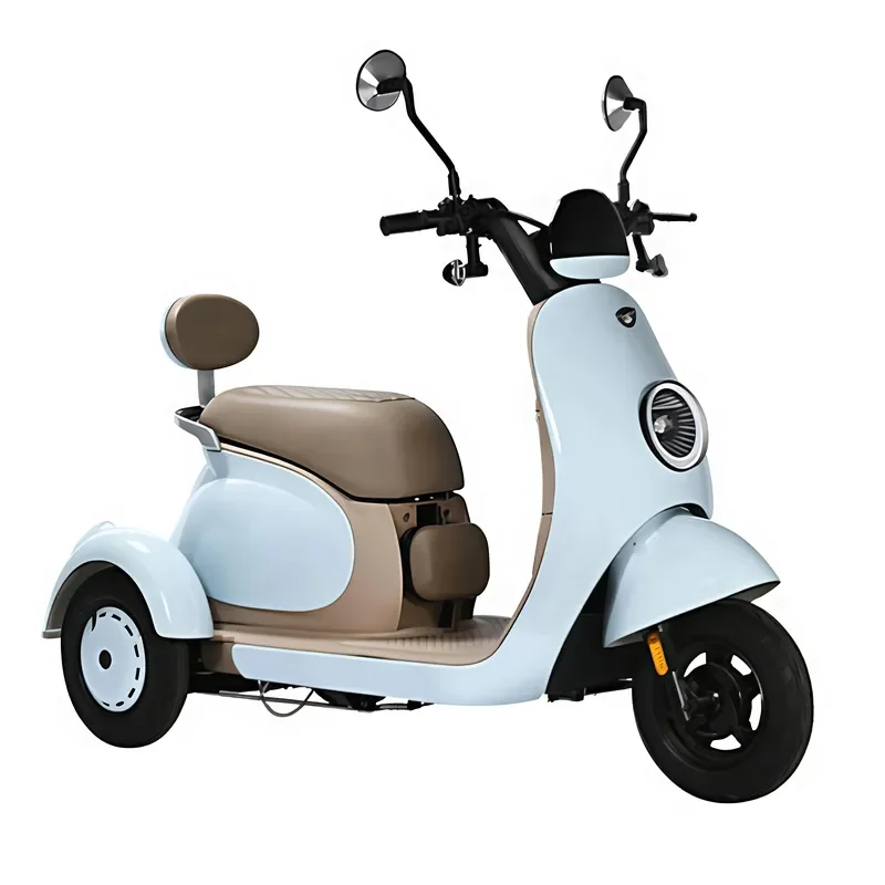 STROVAN Factory Direct 48V Electric Tricycle 500W Power Open Body Cargo Scooter for Home Leisure Passengers 200kg Curb for