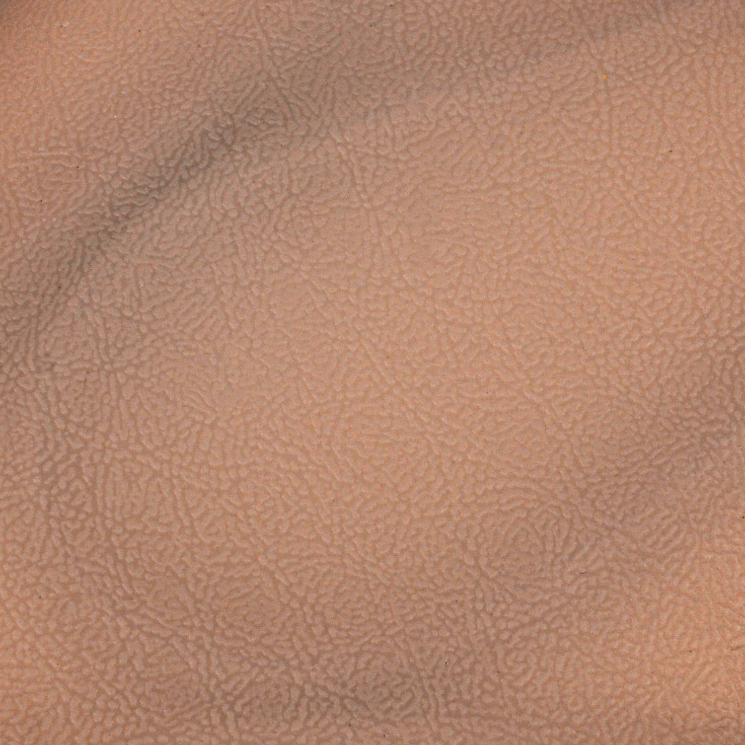 Phlebotomy and Venipuncture Practice Kit, Dorsal Hand Injection Trainer