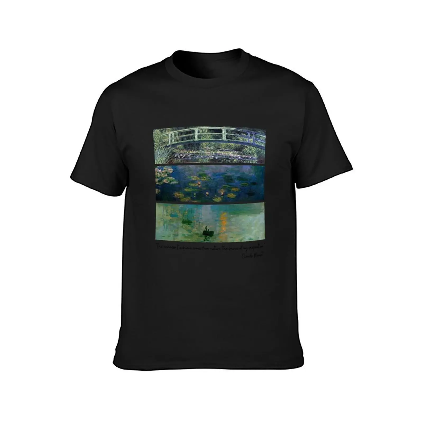 Water Lillies Monet -Claude Monet Art Remake Design Art Pack T-Shirt boys whites quick-drying tops slim fit t shirts for men