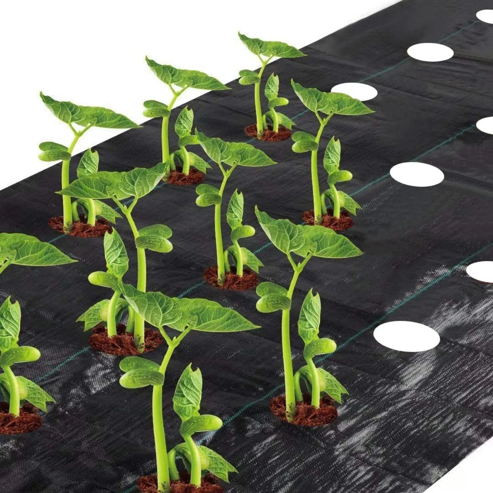 

Weed Barrier Landscape Fabric Heavy Duty Weed Barrier Fabric Easy Setup Woven Garden Landscaping Fabric