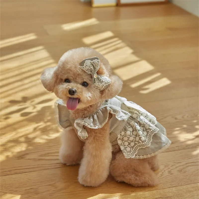 

New Pet Flying Sleeve Dress Cute Lace Vest Cat Spring/Summer Marzis Small Dog Dress Puppy Clothes Dog Clothes for Small Dogs