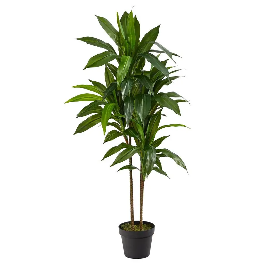 

48in Artificial Dracaena with Real Touch Leaves and Multi Tonal Trunks, Large Indoor Silk Plant with Pot, Maintenance Free For