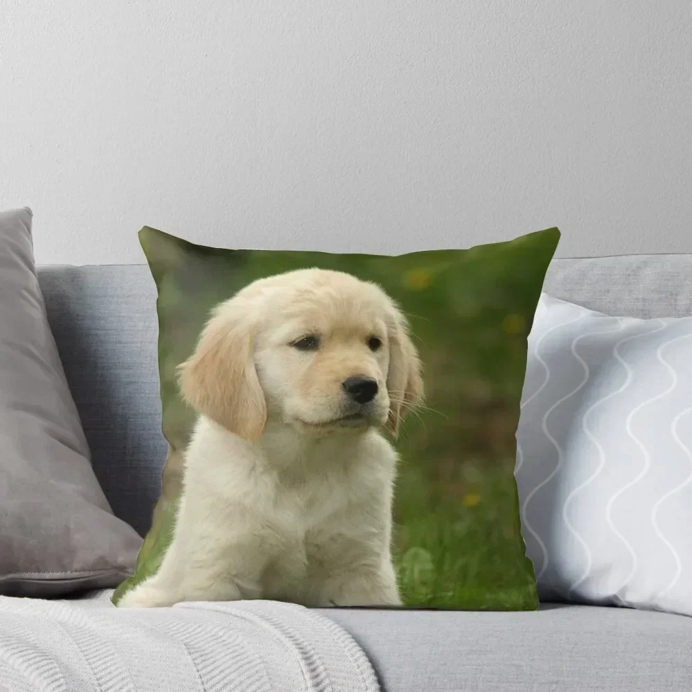 

Golden Retriever! Puppy! Throw Pillow Throw Pillow Christmas Pillows Room decorating items Luxury Sofa Cushions pillow