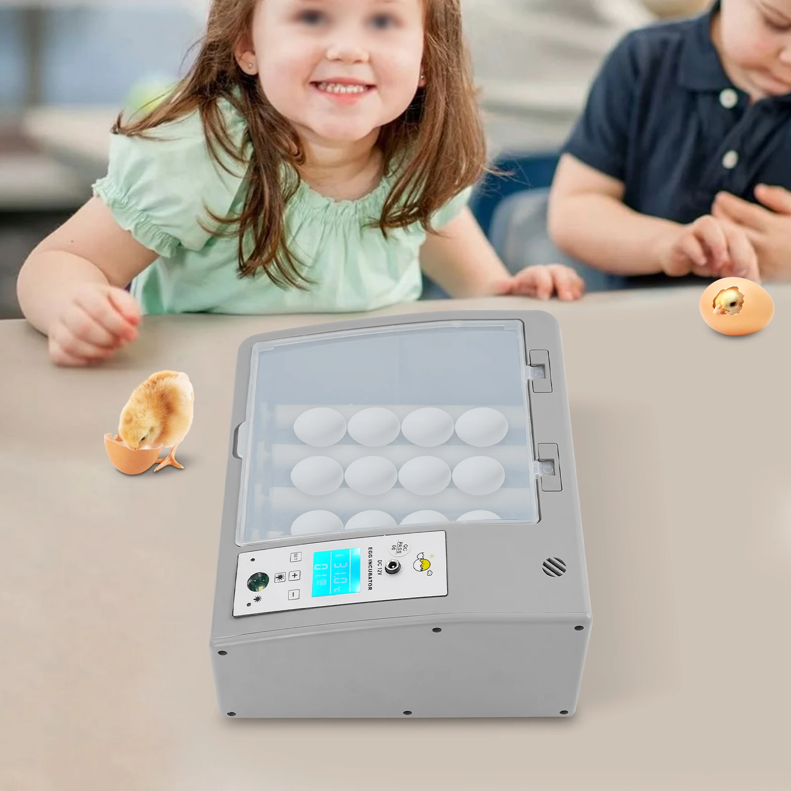 

Полностью автоматический цифровой инкубатор для яиц с интуитивно понятным ЖК-дисплеем, 110В/12В, на 16 яиц, для небольших ферм и домашнего использования