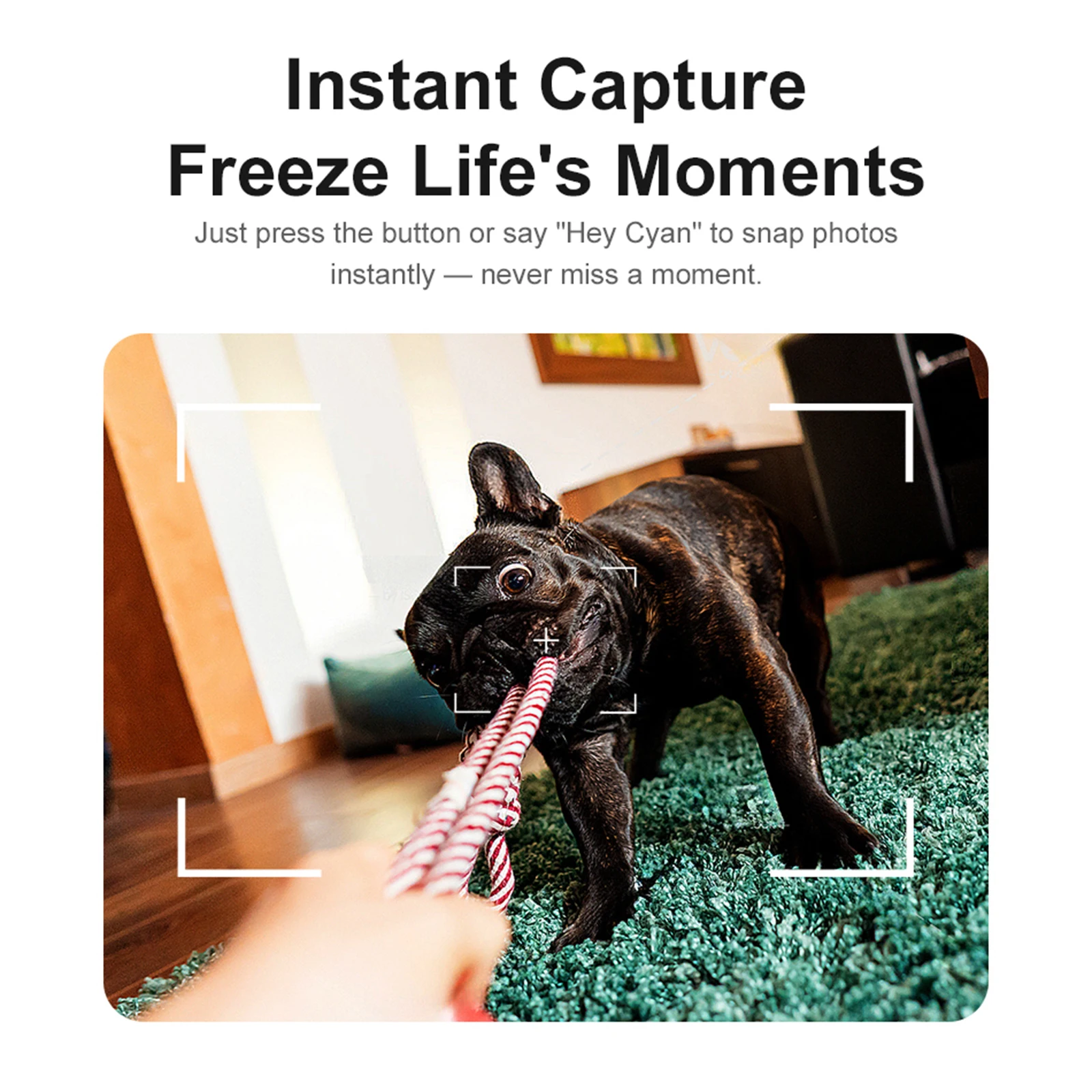 

BT6.0 Real-Time Translation Glasses with 1200W Anti-Shake Camera Video Music Player Glasses Type-C Charging for Business Meeting