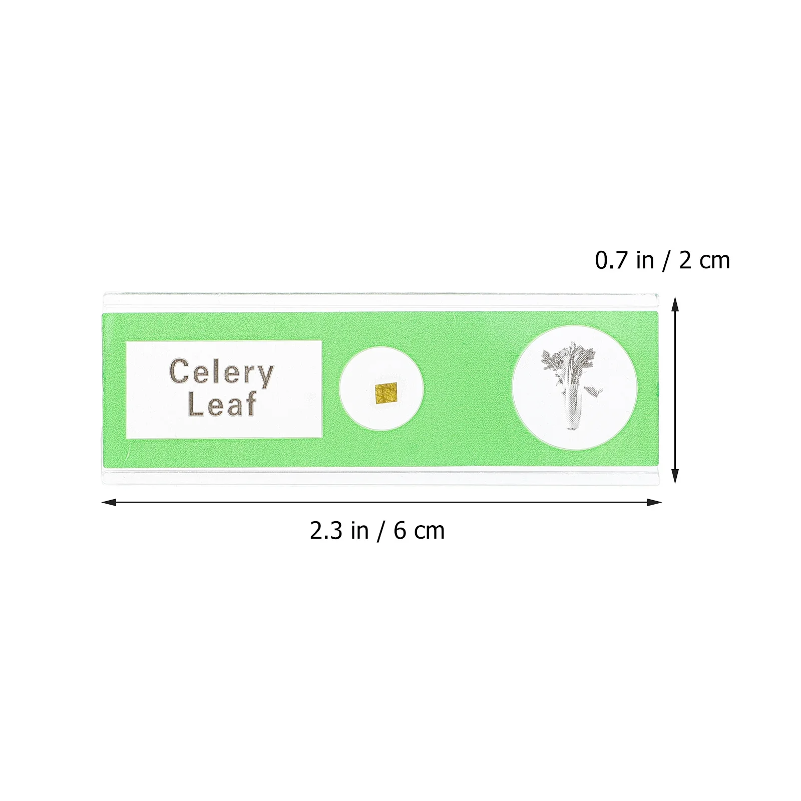 36 vetrini per microscopio preparati, raccolta di campioni biologici, insetti, piante, animali, campioni per bambini e studenti